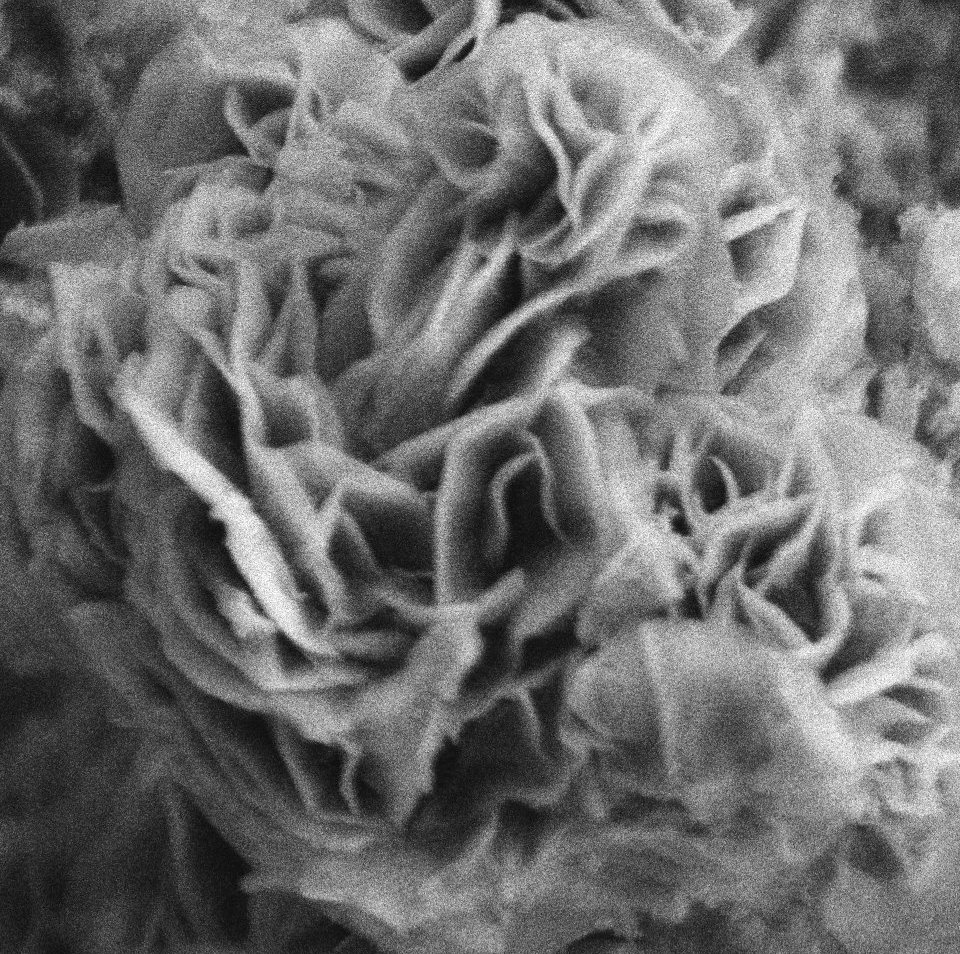 97_sayantan's tweet photo. "One Rose is Enough for the Dawn"
Coming Soon! 😄 @BhaumikGroup
#SEMimage #RealTimeChem #AcademicTwitter https://t.co/nCorFTeBCy