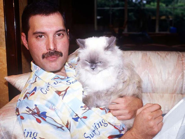 ThatTonyFrame's tweet photo. -Timeline cleanse-
Freddie Mercury with his cats... https://t.co/L70blCxNPt