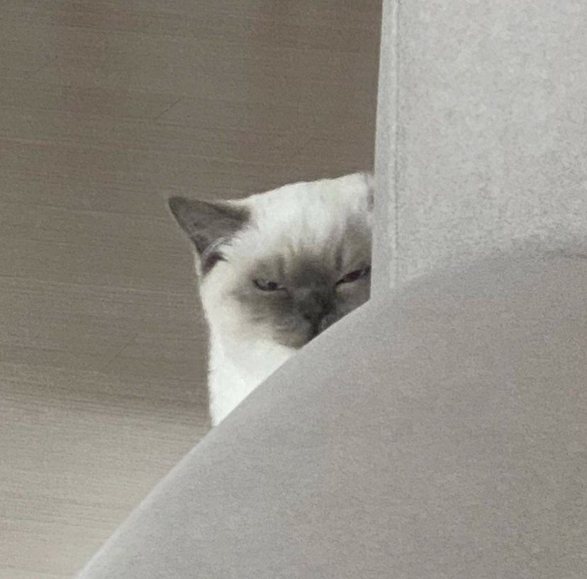 ผมตอนอ้อน                              ผมตอนงอน