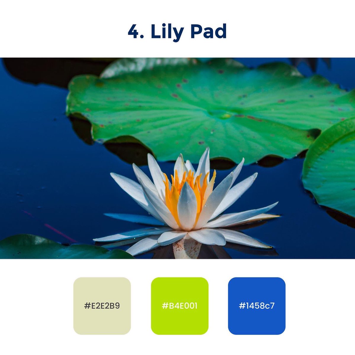 goprotoz's tweet photo. Color Palettes 😀

Hope you all liked this ❤

Part -2

#ui #ux #uidesign #uiux #uiuxdesign #uxdesign #design #designthinking https://t.co/u5sx3elWN9