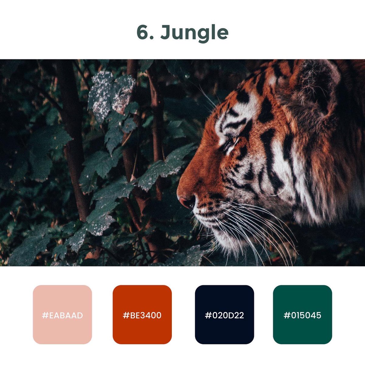 goprotoz's tweet photo. Color Palettes 😀

Hope you all liked this ❤

Part -2

#ui #ux #uidesign #uiux #uiuxdesign #uxdesign #design #designthinking https://t.co/u5sx3elWN9