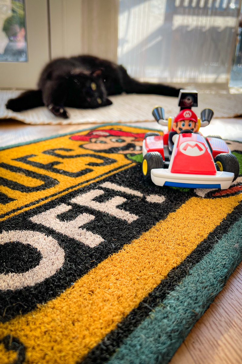 games_ch's tweet photo. #MarioKart8Deluxe #FunTurnier!
Wer‘s morgen auf Platz 7 schafft, gewinnt diese Matte (ohne Katze Mia und Kart)
Turniercode: 1441-5933-1883
TNX 2 @NintendoDE & @WoG_ch https://t.co/4HlxGVDTxD