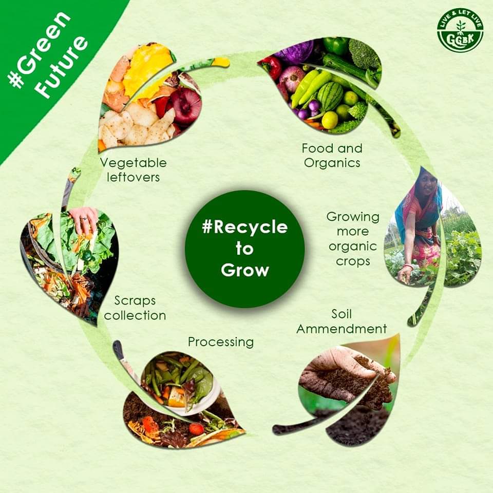 GGBK_Org's tweet photo. Recycling the biodegradable waste from your kitchen leftovers is a key component for making good compost and it helps the soil more plants to grow. On the second day of #GreenFuture campaign we are sharing it with you.
#CompostCycle #Day2 #organicfarming #ClimateChange #GGBK https://t.co/d5TnOoXpFv