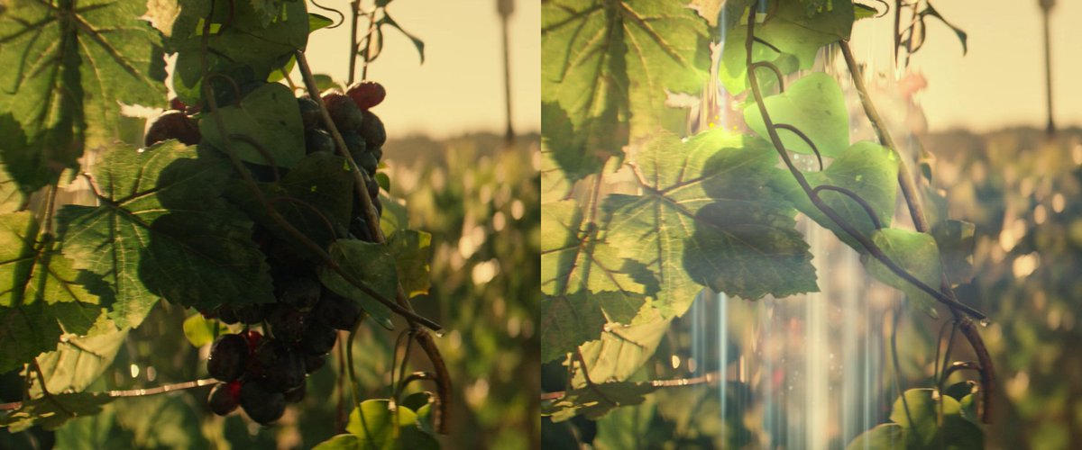 TrekCore's tweet photo. ...as grapes are now beamed off of the growing vines en masse by harvesting drones, something which Robert would almost certainly dislike.
(2/2)
#StarTrek #StarTrekPicard https://t.co/IFmxZ1pIrH