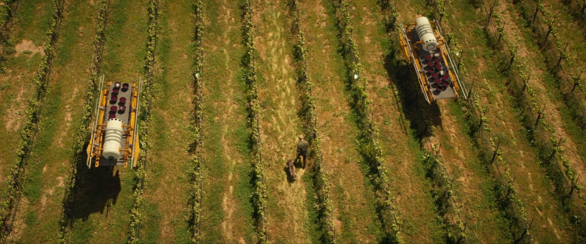 TrekCore's tweet photo. ...as grapes are now beamed off of the growing vines en masse by harvesting drones, something which Robert would almost certainly dislike.
(2/2)
#StarTrek #StarTrekPicard https://t.co/IFmxZ1pIrH