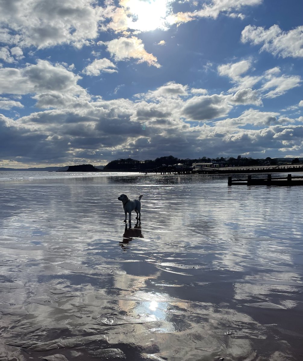 Nick Talbot tweet media