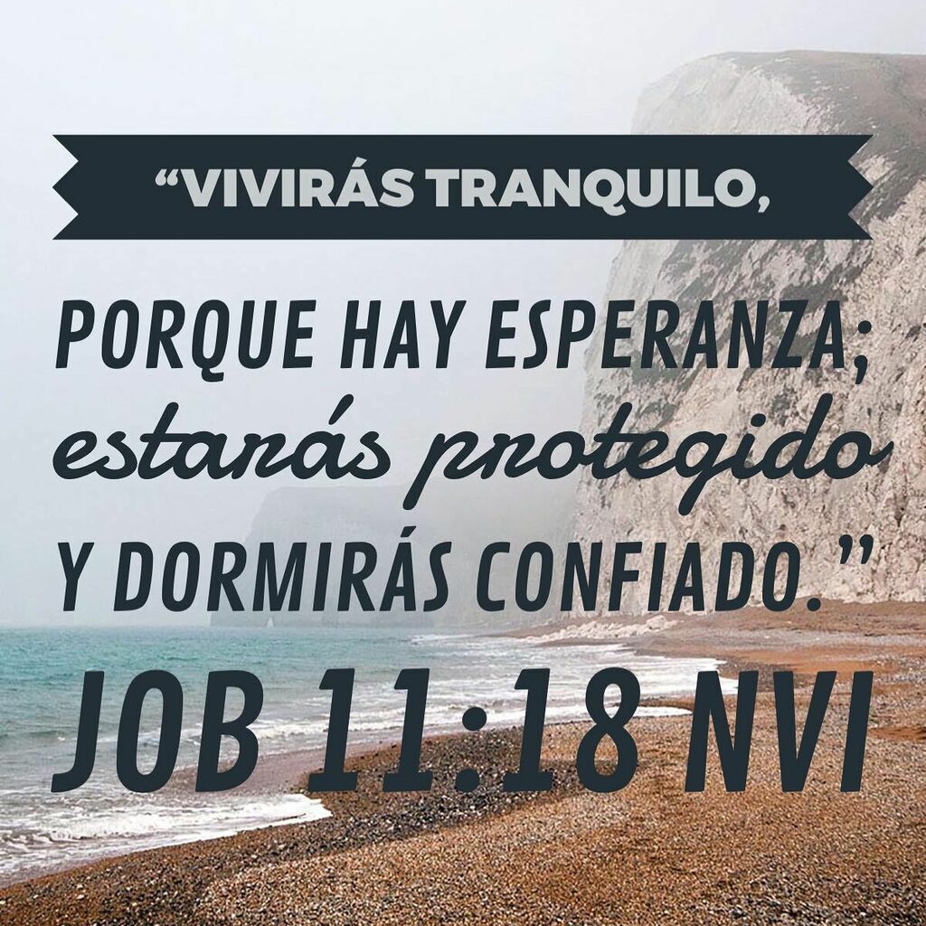 Omar Melendez tweet media