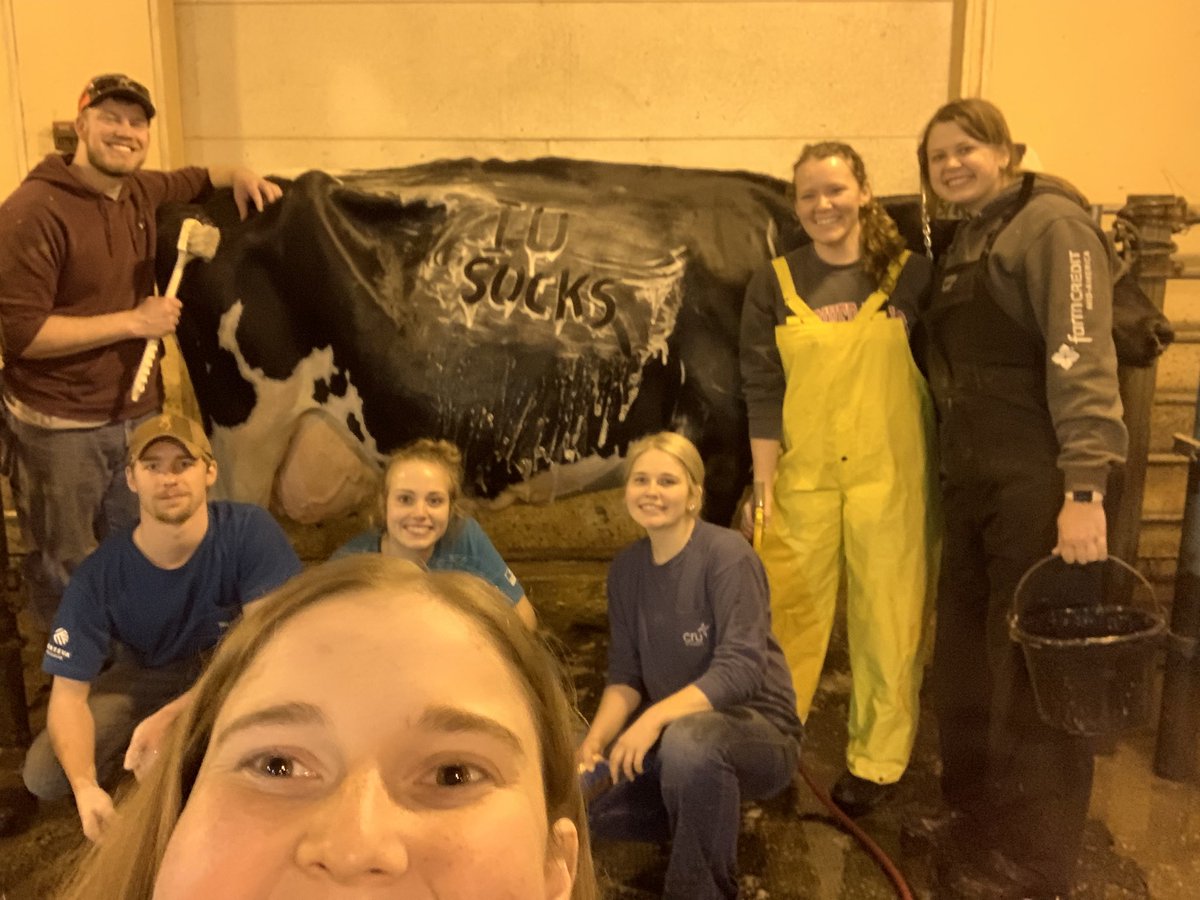 PurdueDairyClub's tweet photo. Today is our annual Dairy Judging Invitational! We are wishing our contestants the best of luck as they compete today! While we are hard at work, we also wish the Purdue Boilermakers good luck as they take on IU! 
Boiler Up! Hammer Down! 

#IUSUCKS #BoilerUp @BoilerBall https://t.co/qCplDb9ZOa