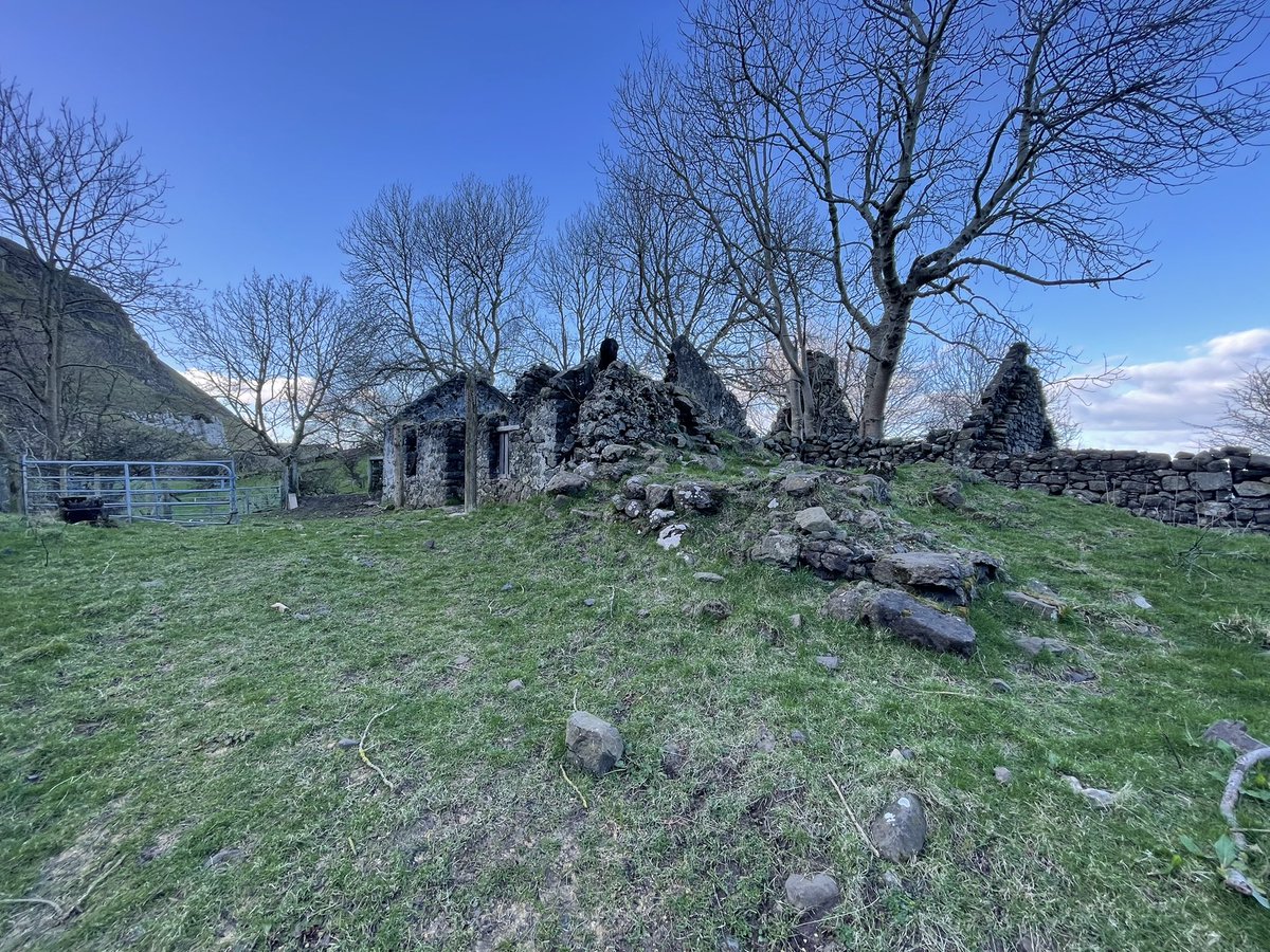 Barra Best tweet media