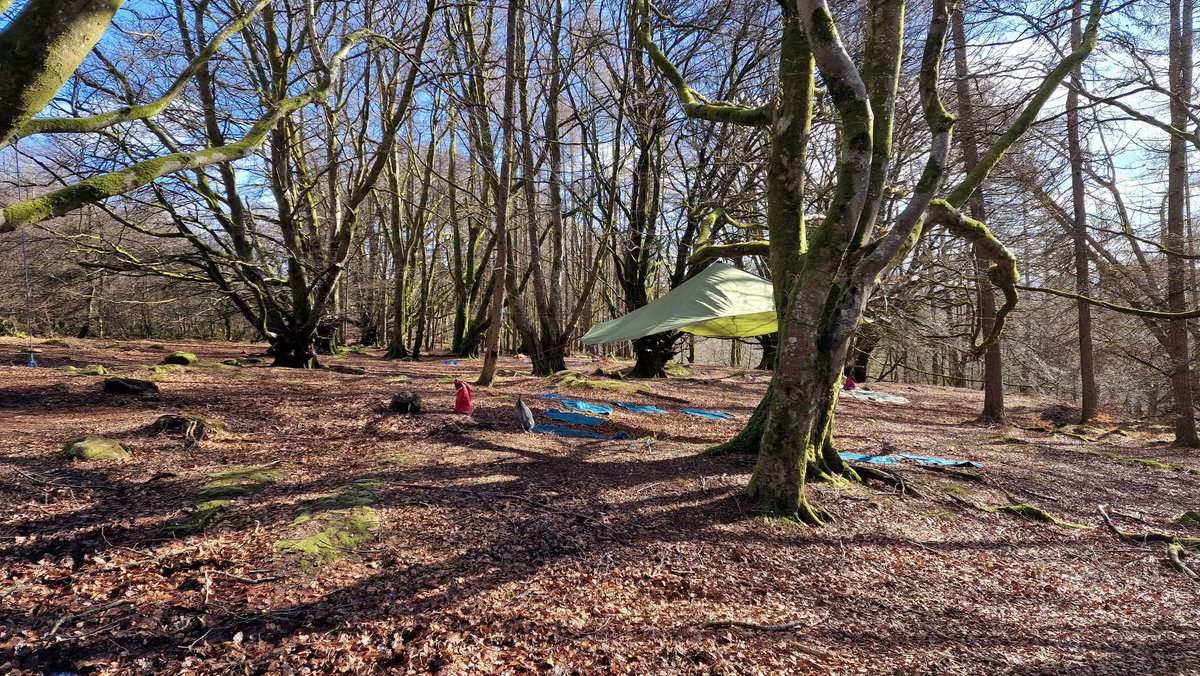 ForthRiversT's tweet photo. Great day celebrating #WorldWildlifeDay2022 with @OpOutdoors at Callander Crags. Everything from owls, yoga adventure games,  story telling and bugs and beasties from the local river. https://t.co/aF4xdXgQ1t