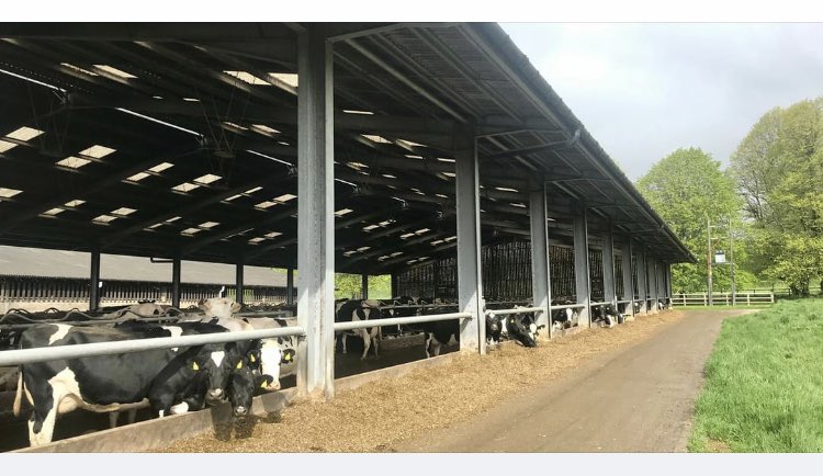JWYorkinDor's tweet photo. We are seeking a full-time herdsperson on our family dairy farm of 360 high yielding pedigree Holsteins with youngstock raised onsite as our current herdsman is leaving for personal reasons. 
 
We operate twice daily, two-man milking in a spacious 26:26 herringbone parlour. https://t.co/3u9ZtpuP6W