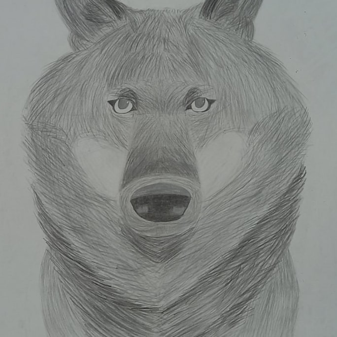 GTV_001's tweet photo. Wolf/Волк
#wolf #волк #art #арт https://t.co/nqZMi94Zmo