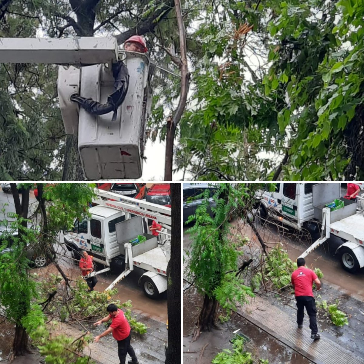 CVJuniors's tweet photo. INFORMACIÓN IMPORTANTE: 
���️Nos contactamos con defensa civil por el desprendimiento de ramas de árboles a por la fuerte tormenta en calle La Plata al 700.

👉🏻Recordamos tenerlo en cuenta para éste tipo de emergencias: 

☎️¿Sabés cuándo llamar al 103 Defensa Civil municipal? https://t.co/2I2ID3q0te