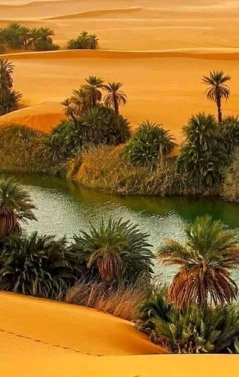 من سحر وجمال الصحراء الجزائرية المصنفة ضمن أجمل صحاري العالم 😍❤🇩🇿
#الجزائر🇩🇿
#أدرار