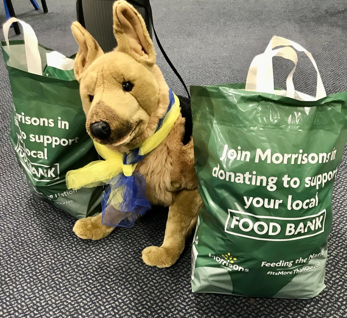 NgateDereham's tweet photo. At Northgate we're showing support to those affected by the situation in Ukraine. We are spreading HOPE far and wide - how many likes and retweets can Hope the dog get? #NorthgateCommunity #UkraineAppeal #SupportUkraine #Hope @EDP24 @BBCLookEast @itvanglia https://t.co/ZRYHqIzmoO