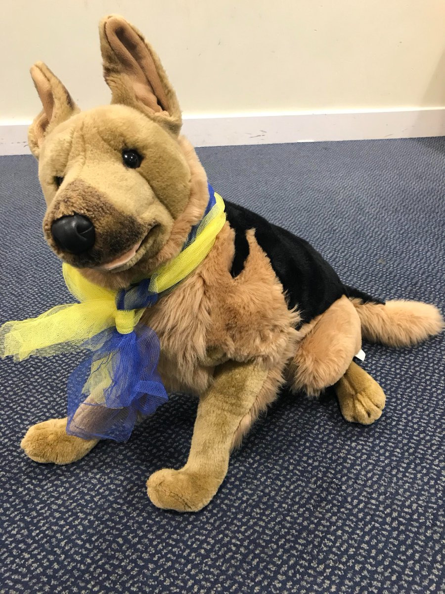 NgateDereham's tweet photo. At Northgate we're showing support to those affected by the situation in Ukraine. We are spreading HOPE far and wide - how many likes and retweets can Hope the dog get? #NorthgateCommunity #UkraineAppeal #SupportUkraine #Hope @EDP24 @BBCLookEast @itvanglia https://t.co/ZRYHqIzmoO