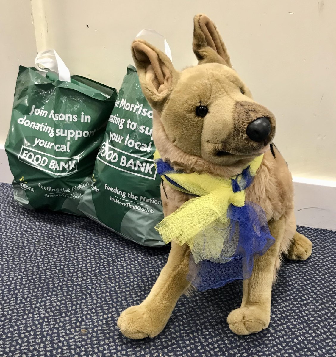 NgateDereham's tweet photo. At Northgate we're showing support to those affected by the situation in Ukraine. We are spreading HOPE far and wide - how many likes and retweets can Hope the dog get? #NorthgateCommunity #UkraineAppeal #SupportUkraine #Hope @EDP24 @BBCLookEast @itvanglia https://t.co/ZRYHqIzmoO