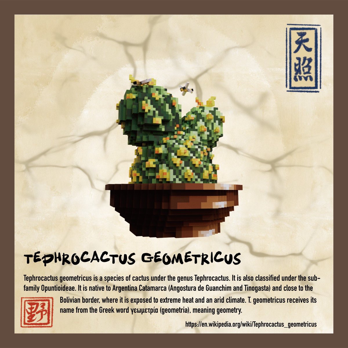Thecryptobonsai's tweet photo. Here is some Knowledge about our bonsai.  I really love this one 👀👀👀 #NFTs #nft #nftart #NFTGame #sandbox #voxedit #bonsai #cryptobonsai https://t.co/JBn3OCneTh