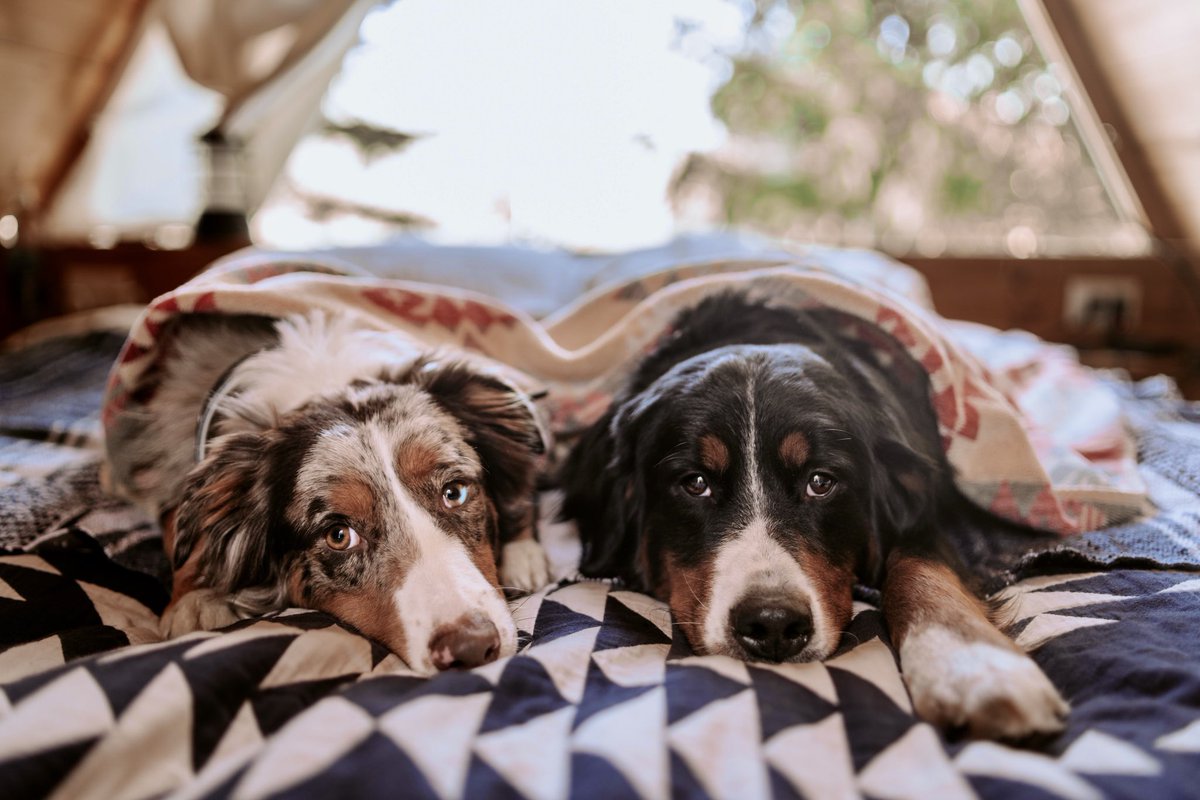 Opie Remy & Melo tweet media