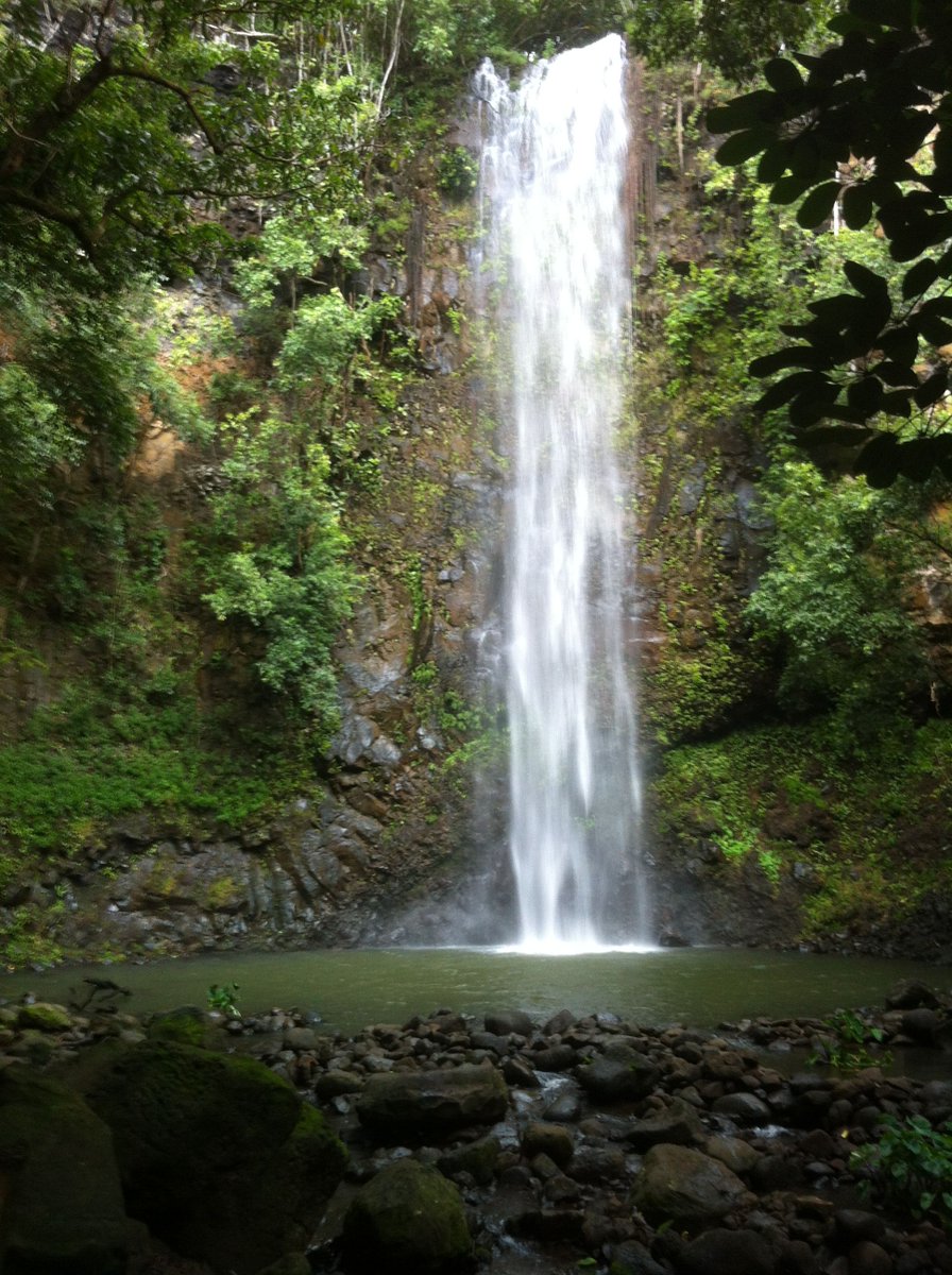 PineappleHeadC's tweet photo. Hope you all have a beautiful weekend Pineapple ohana! This is secret falls on Kauai, my backyard down the valley when I was a kid. This is some of the beauty we will help preserve and keep Hawaii green 💚 #NFTCommmunity #NFTs #NFT https://t.co/wEacTlupNw