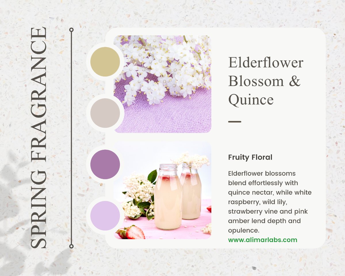 AliMarLabs's tweet photo. 🌷Hop Into Spring With These Best-Selling Scents - https://t.co/HZj5Q69S36 https://t.co/OL43D132YI