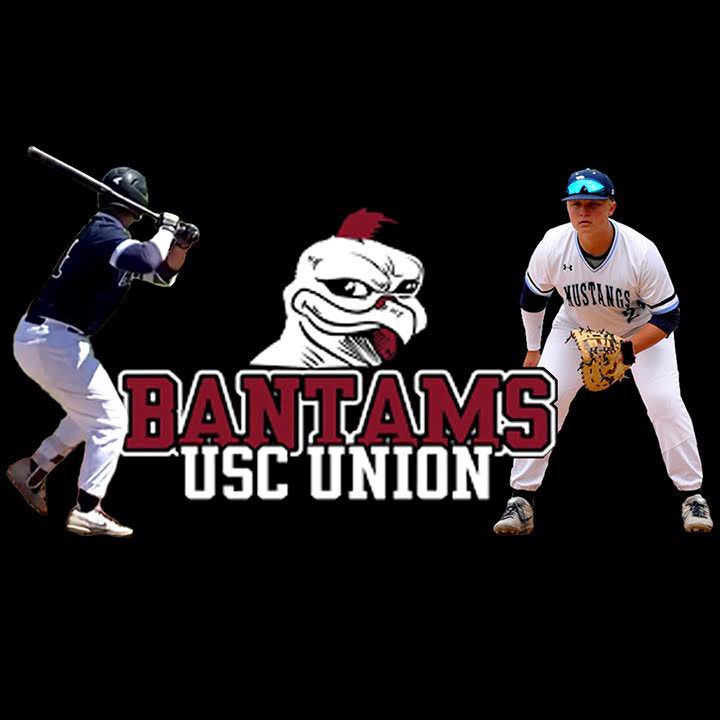 Kris Levensteins tweet media