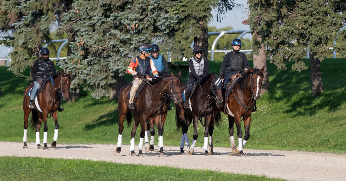 CanadianTbred's tweet photo. Select Claiming Events at @WoodbineTB to See Purse Increases:
The first condition book of 2022 is to be released Friday for the racing season which is scheduled to begin on Saturday, April 16. #horseracing #claimingraces
https://t.co/0mQOBMre2Z https://t.co/J6z51TkrLt