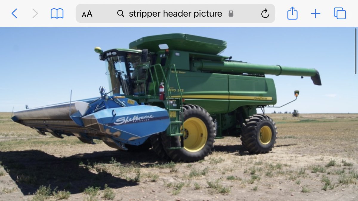 Patrick Hacault tweet media