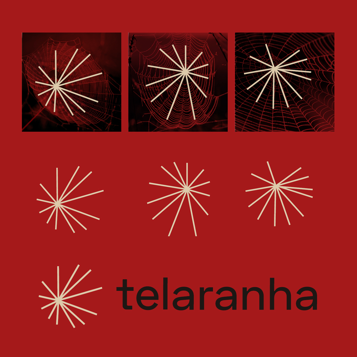 _telaranha's tweet photo. «Telaranha»: da «telaraña» da voragem-vórtice do “Mar Paraguayo ”, de Wilson Bueno, aos fios das aranhas surpresas de “Galáxias”, de Haroldo de Campos, entrelaçamos bichos e bestiários na forma de livros. 🕸️ https://t.co/qJvNlzBKRA