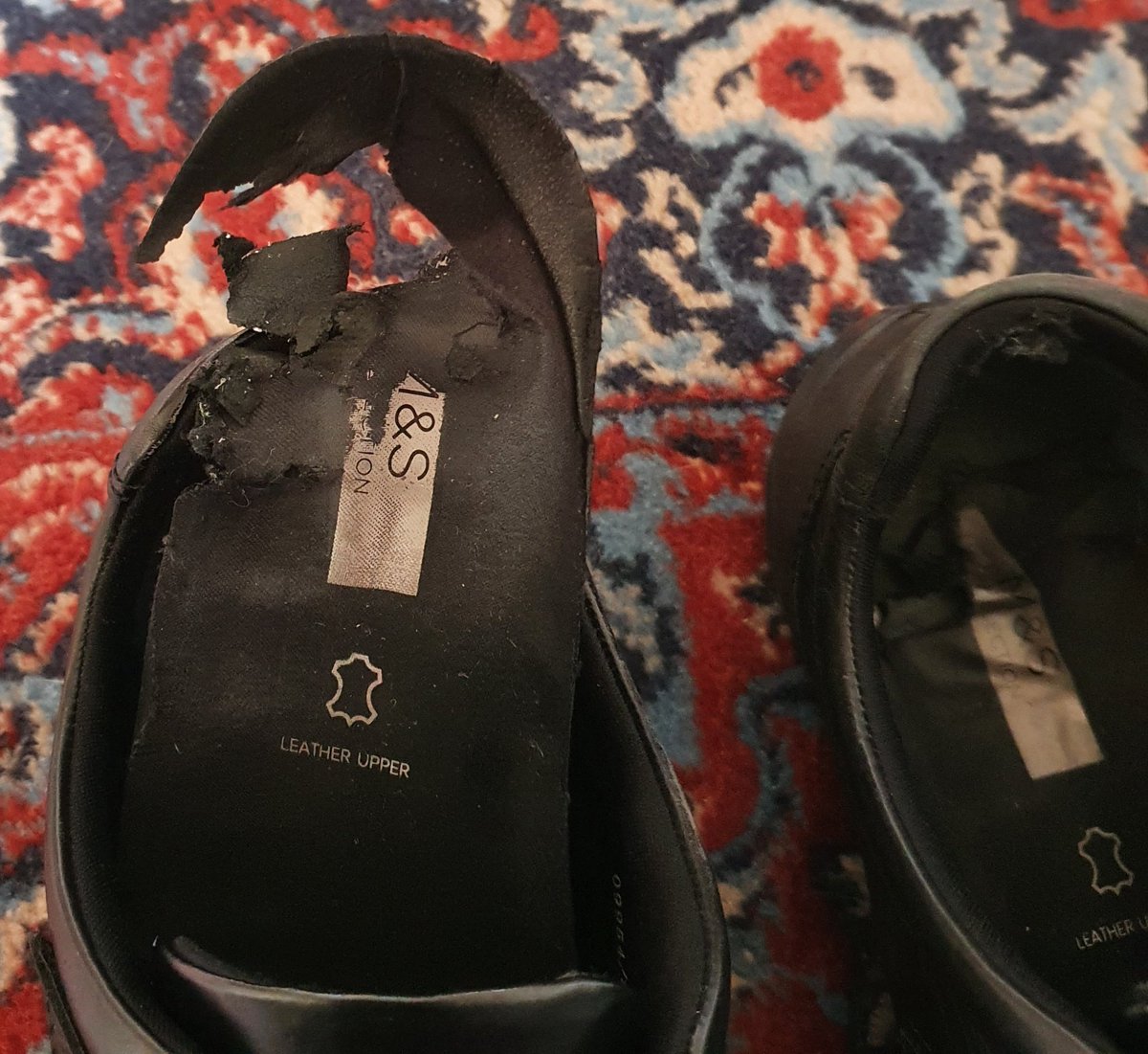 SarahBWatsonfan's tweet photo. It's time to get rid of my old work shoes. 👞 👞 ☹️ I have totally worn them out haha. 🤣🙈 I do have a new pair (exactly the same as my old pair) #oldworkshoes #wornoutshoes ~ #newworkshoes #leatherupper #MandSshoes https://t.co/gpFGFlhfS0