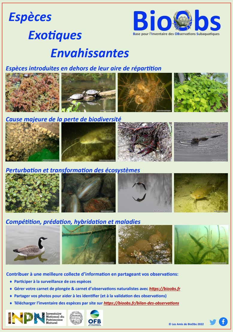 Amis_de_BioObs's tweet photo. Vous reprendrez bien quelques espèces non indigènes ou exotiques envahissantes ? 

Avec #bioObs, en milieu dulcicole ou via un réseau ALIEN par exemple.
https://t.co/wRLurxkw27 https://t.co/ORuUYmqNWJ