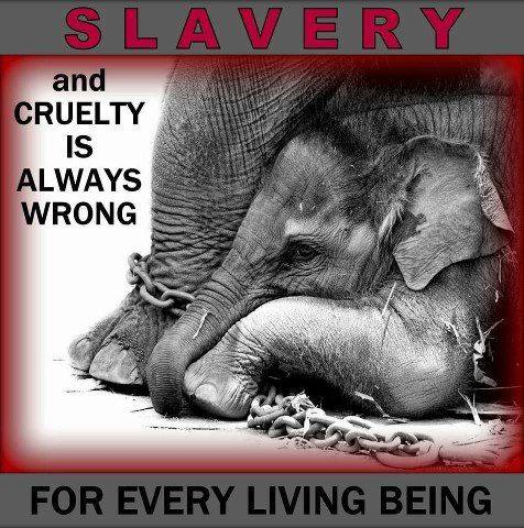 Mary Zientek Sulaiman (@zientekmary) on Twitter photo 