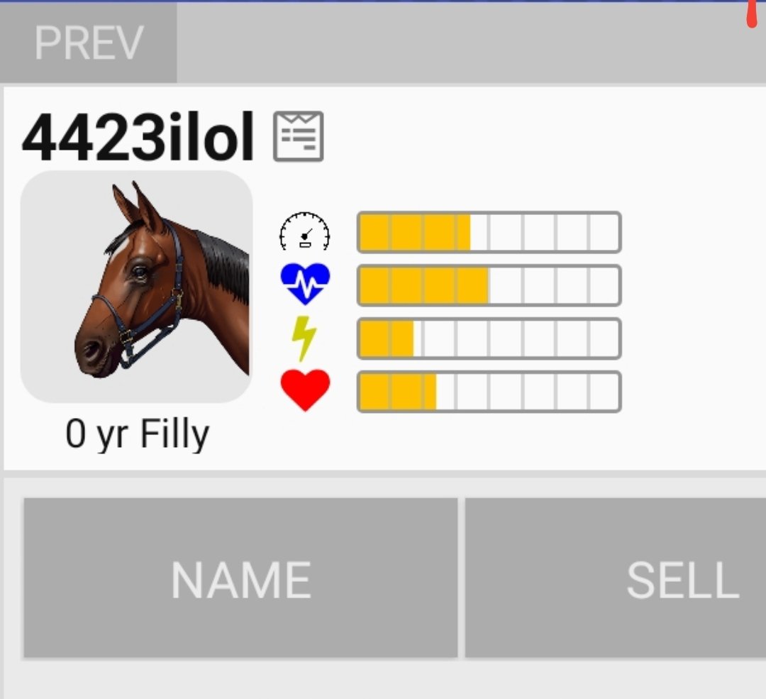 FERNAND55959034's tweet photo. Make me on offer @AndPacing https://t.co/0qpuM7mMQS