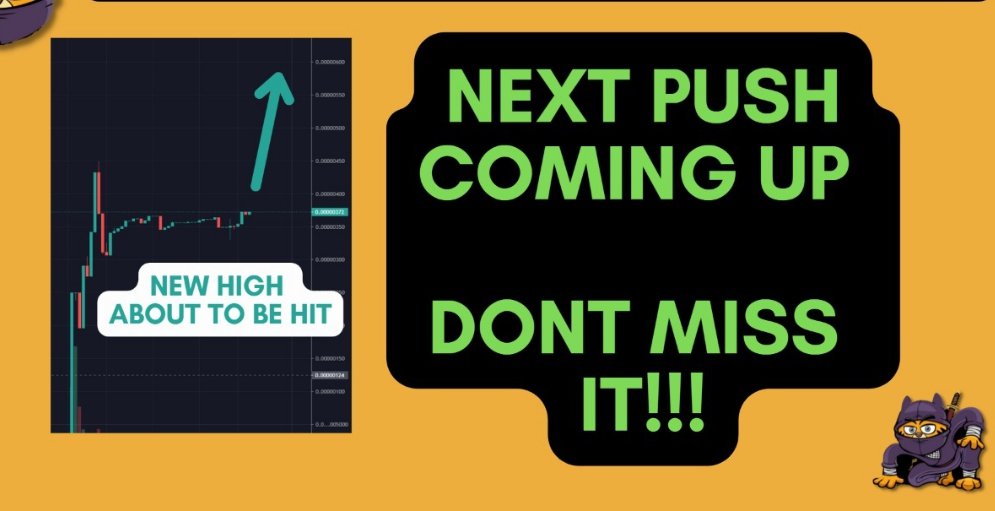 NinjaCatsClub's tweet photo. New Promotions Coming UP!! Fill your wallets or regret.... https://t.co/AYKKxoG934