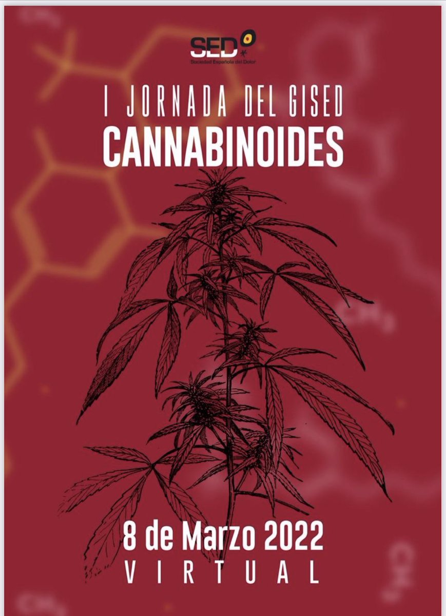 juanfegh's tweet photo. 1a jornada del grupo Cannabinoides de la @Sedolor. Gracias por poder formar parte de este grupo. Nos vemos el Martes. @herrero_dr @DraMadariaga @vmayoral @ChusMoraga @RobertoDeNiroh https://t.co/EkXyeyg9YJ