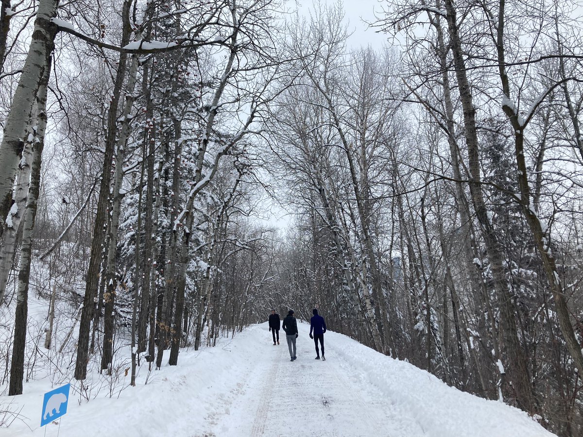 merissafb1's tweet photo. Some beautiful wintry views this morning in YEG! Mill Creek beauty! #yeg #runyeg #bostontraining 🏃‍♀️ https://t.co/AyJBcsUxpg