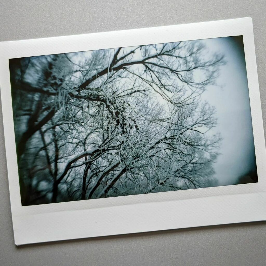 artsproul's tweet photo. A crispy morning #hoarfrost #instantphotography #vignetting #instaxwide #yegpgotographer #edmontonphotographer https://t.co/FXEOcjcicL