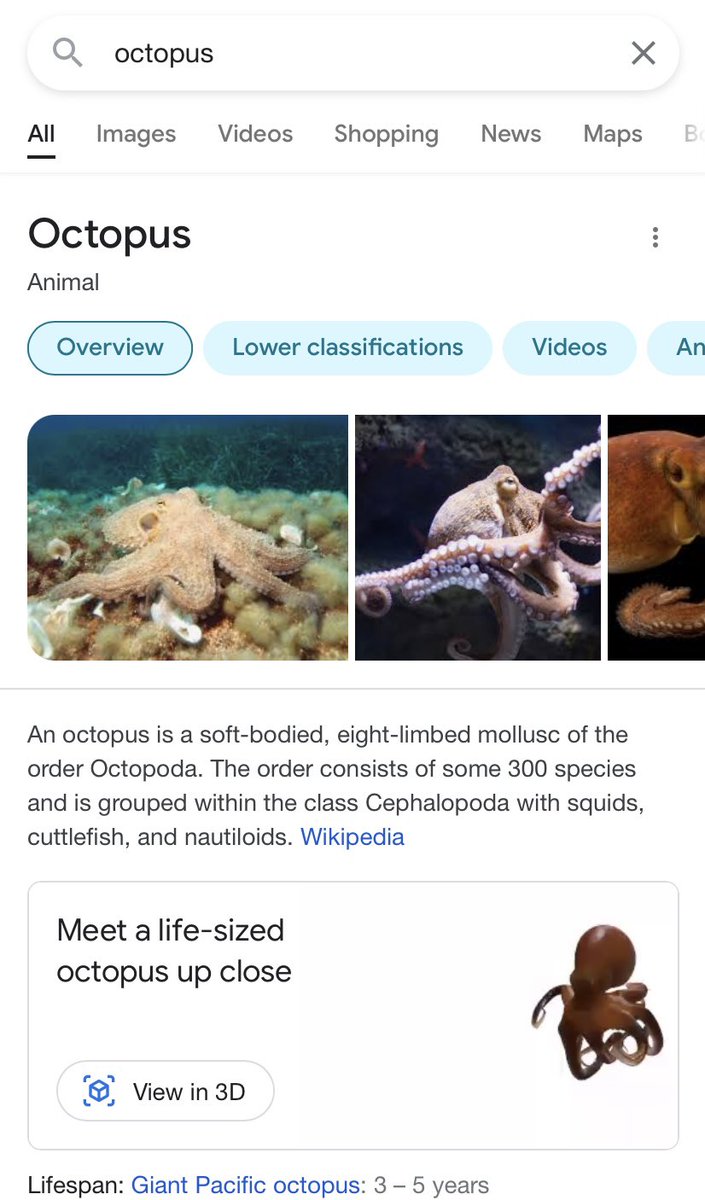 Did you know you can use <a href="/googlechrome/">Chrome</a> to view some search results in 3D?! Check out the octopus!  For a complete list of what’s available follow this link. shorturl.at/crzJ4 #googlefored #techieteachers #funstuff