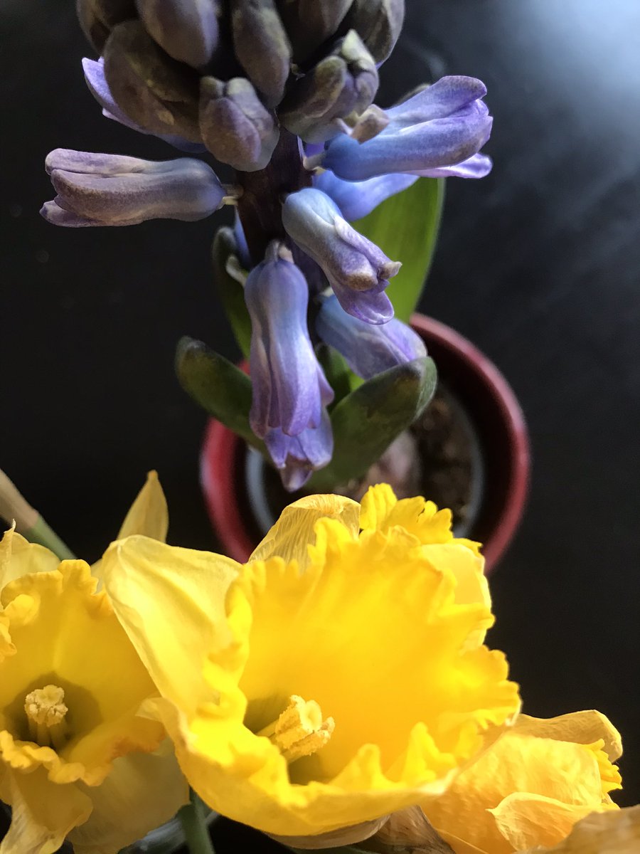 Ein klein wenig Hoffnung für die Menschen in und aus der Ukraine: die internationale Solidarität. Auch die GSSG engagiert sich, z.B. gemeinsam mit fes.edu.pl und <a href="/Life4meplus_de/">Life4me+ auf Deutsch</a>. Zum Spendenaufruf geht’s hier: t1p.de/cu94