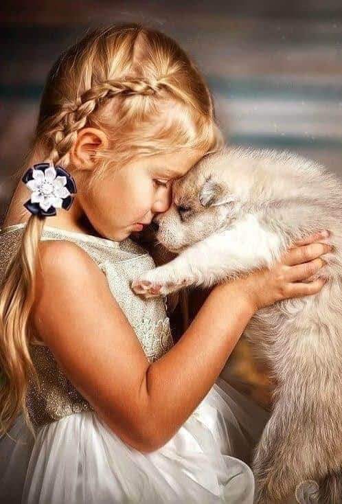Good night Twitter World.❤️🌹