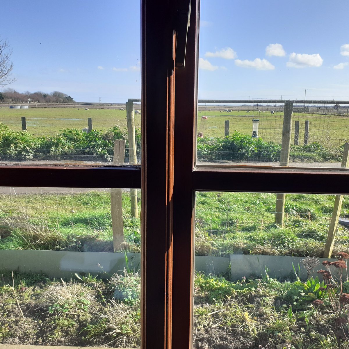 infocus_Swest's tweet photo. Optics Sunday 6th March @Sandwichbirdobs @KentWildlife 07307698798 for more info @opticronuk @SwarovskiOptik New Slik Delta Tripods now available @hawkeoptics @VortexOpticsUK @SussexWildlife https://t.co/swHtYwLhZr