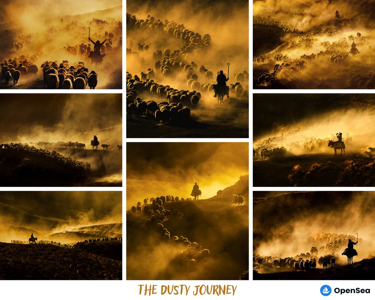 The dust cloud that hundreds of sheep create during their 15-kilometer journey every day creates an insatiable view with the sun's rays.

My collection “The Dusty Journey” is now available with colourful version on <a href="/opensea/">OpenSea</a> 

1/1
0.15 to 0.35 eth
👇🏻📸📸👇🏻
opensea.io/collection/the…