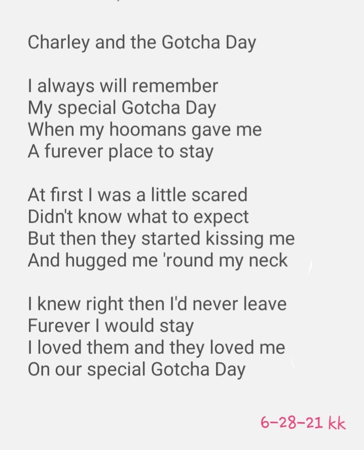 SchitzAndGrins's tweet image. Happy Gotcha Day! 🥳🥳
Hope your day is filled with treats and rubs and kisses, and all the love you could wish for! 💞💞 I wrote this for all us Gotchas. Hope you like it! 🥰🥰 For your present, I slipped a Follow under your door. Did you get it?