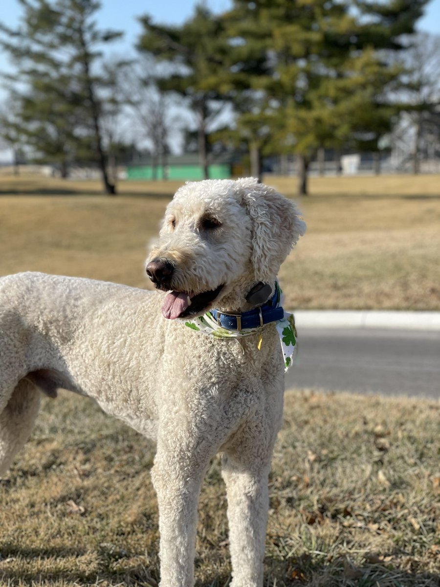 J. Douglas Boles tweet media