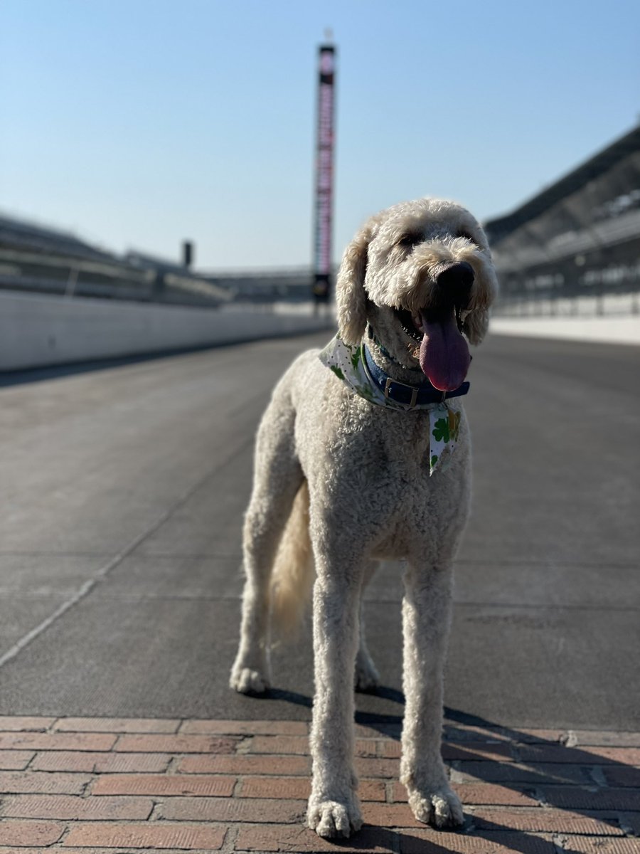 J. Douglas Boles tweet media