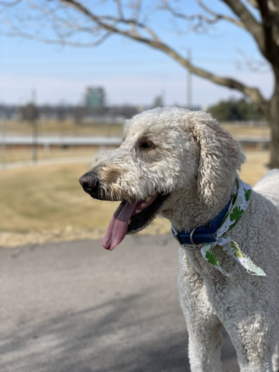 J. Douglas Boles tweet media