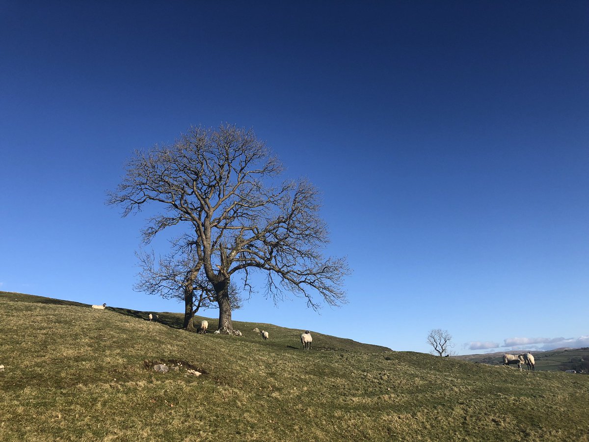 You can’t beat a #BlueSkyDay here in the #YorkshireDales ☀️