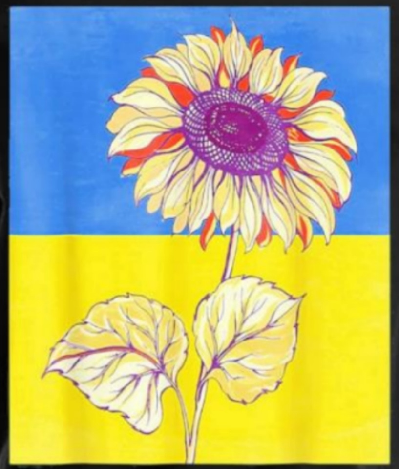 #Ukraine #NoWar
#ResistanceUnityHope
(credit to the artist)