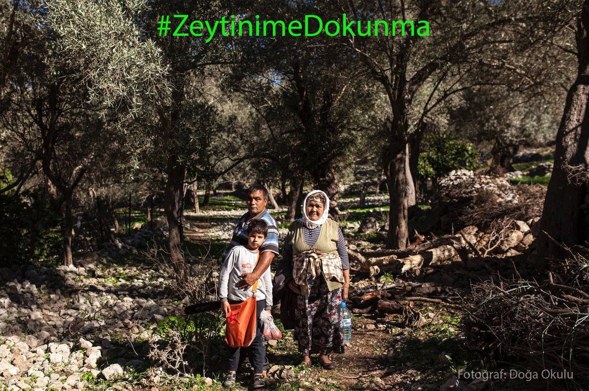 Öte yandan, zaman grafiğinde de kısmen yer bulduğu gibi zeytin etrafında örülen mücadeleleri de biliyoruz ve tarafız. Biliyoruz ki, bugün de bu mücadele sonuç verecek ve bu deneme de boşa düşecektir #ZeytinimeDokunma 
yerkure.org/zeytin-zaman-g…