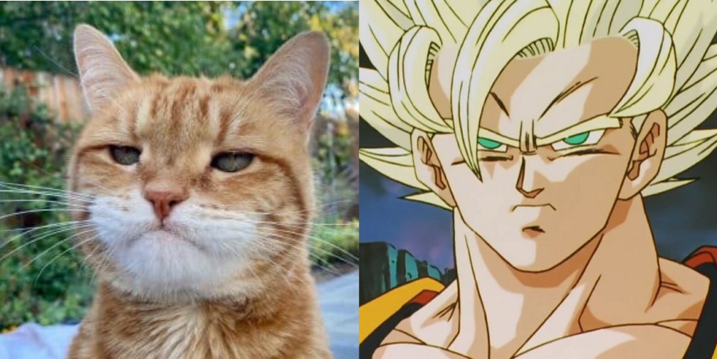 Noodledori's tweet photo. Dragon ball but Cats https://t.co/10vzCxM8ZW